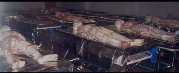 Leaked Photos Of Roswell Aliens And Craft? 16